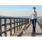 Flexi New Classic Xs Cordón 3 Mts Azul Color Rojo 7