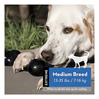 Hueso Kong Goodie Bone Extreme Para Perros Talla M Color Negro 2