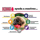 Hueso Kong Goodie Bone Extreme Para Perros Talla M Color Negro 8