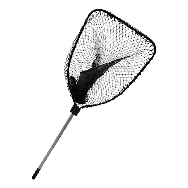 Chinguillo Chous Ln36s Botero 91-50x64cm 