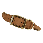 Collar Coastal Perro Circle T Redondo De Cuero 50/45cm Tamaño Del Collar 45cm 1
