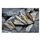 Señuelo De Pesca Rapala Original Floating 7cm Color Tr 3