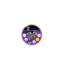 Kit Jade pro +funda+mira+postones hollow point 5.5mm