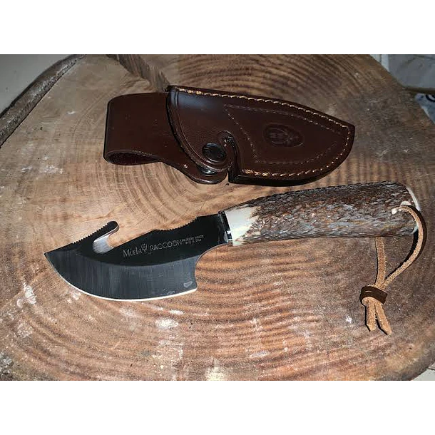 Cuchillo Muela Raccoon-8A 2