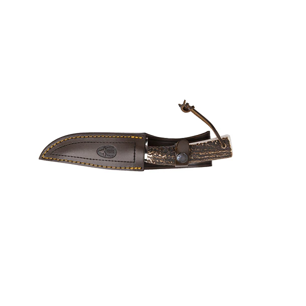 Cuchillo Muela Pointer 13A 2