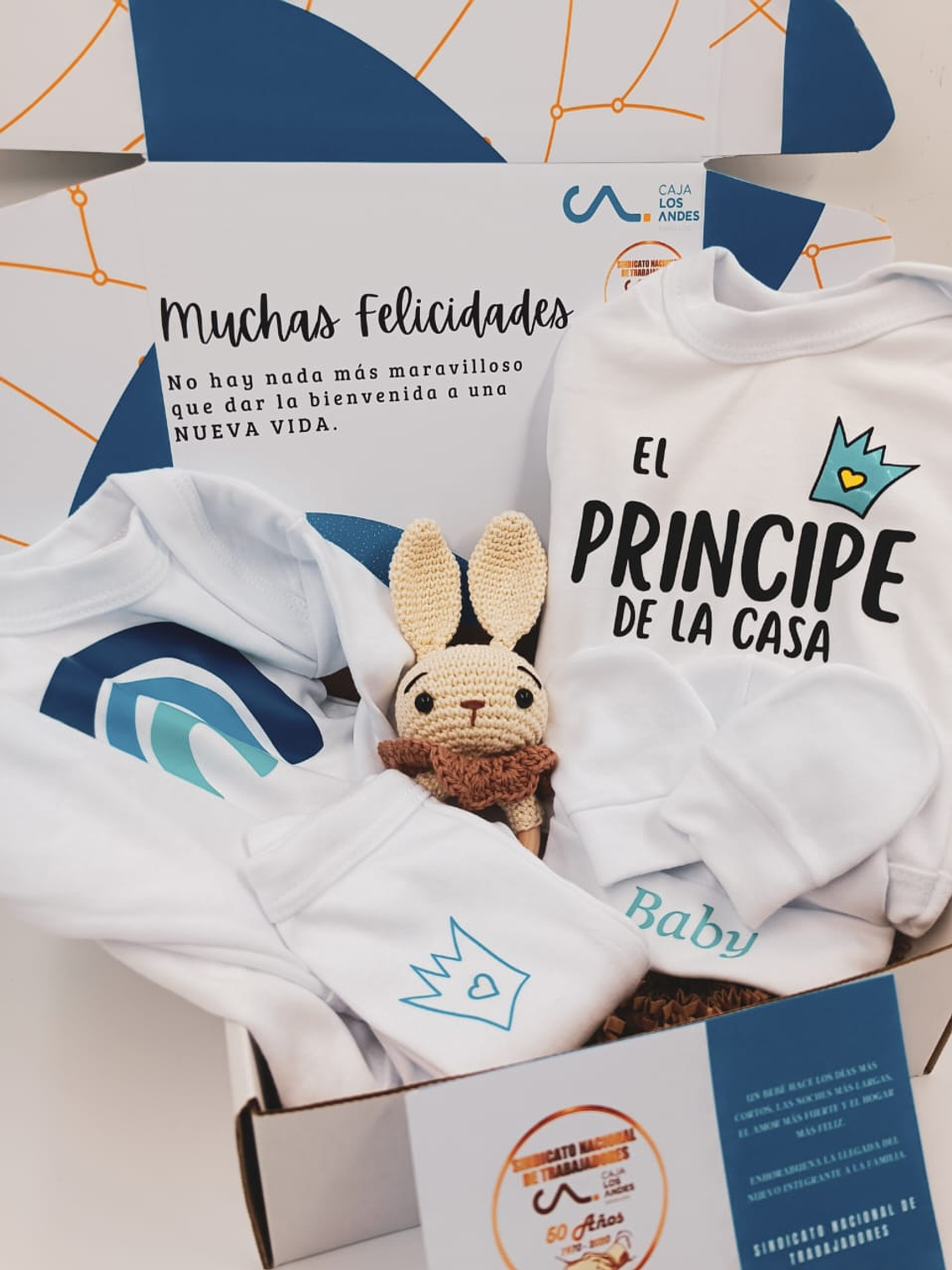 Cálida Bienvenida 2