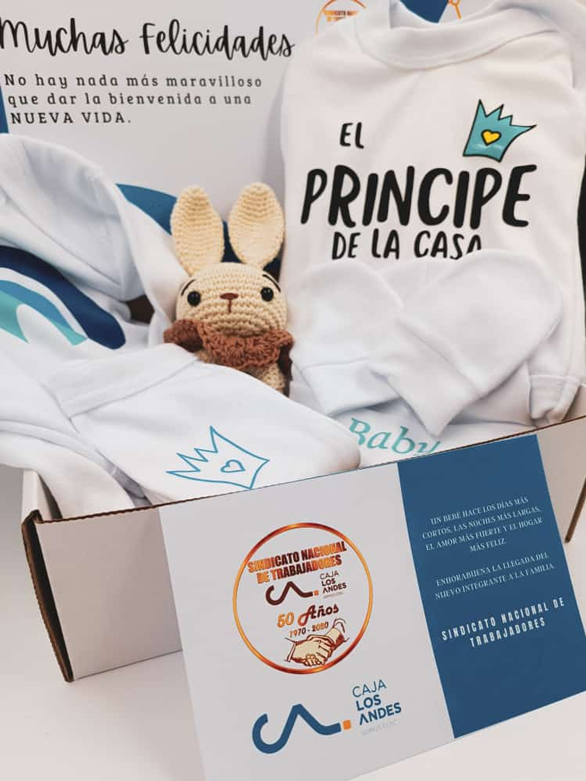 Cálida Bienvenida 3