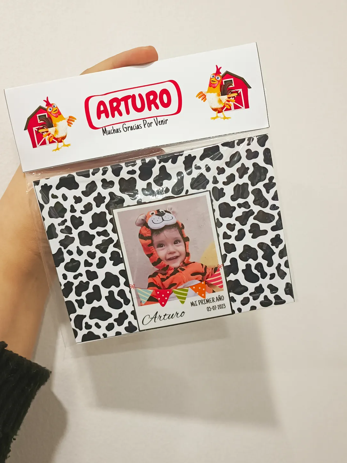 Docena Souvenir Foto Imán Celebración  1