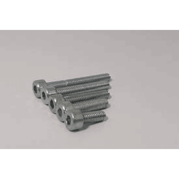 TORNILLO BRISTOL CC INOX MM 12