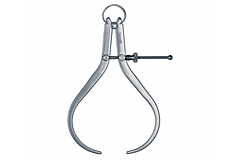 COMPAS PARA EXTERIORES JAGUAR 8