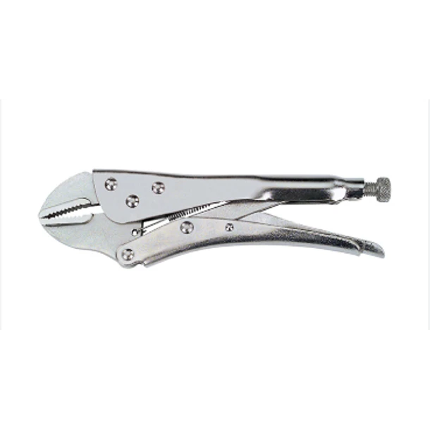 HOMBRESOLO SATA 7 RECTO 3