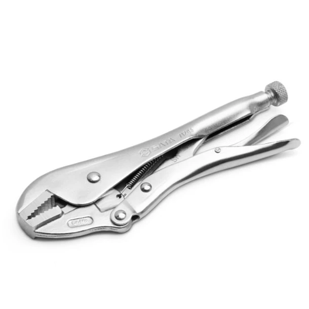 HOMBRESOLO SATA 10 RECTO 1