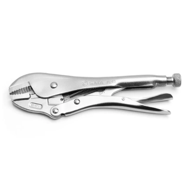 HOMBRESOLO SATA 10 RECTO 3