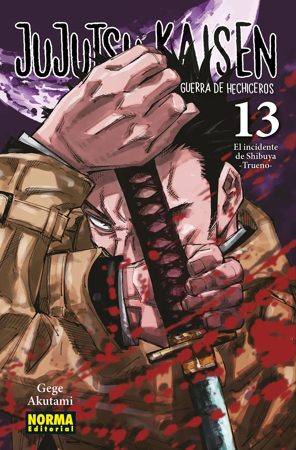 JUJUTSU KAISEN 13 1