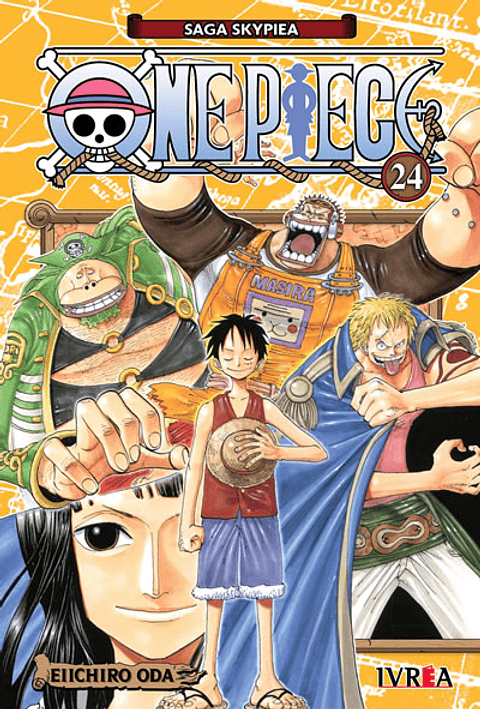 ONE PIECE 24