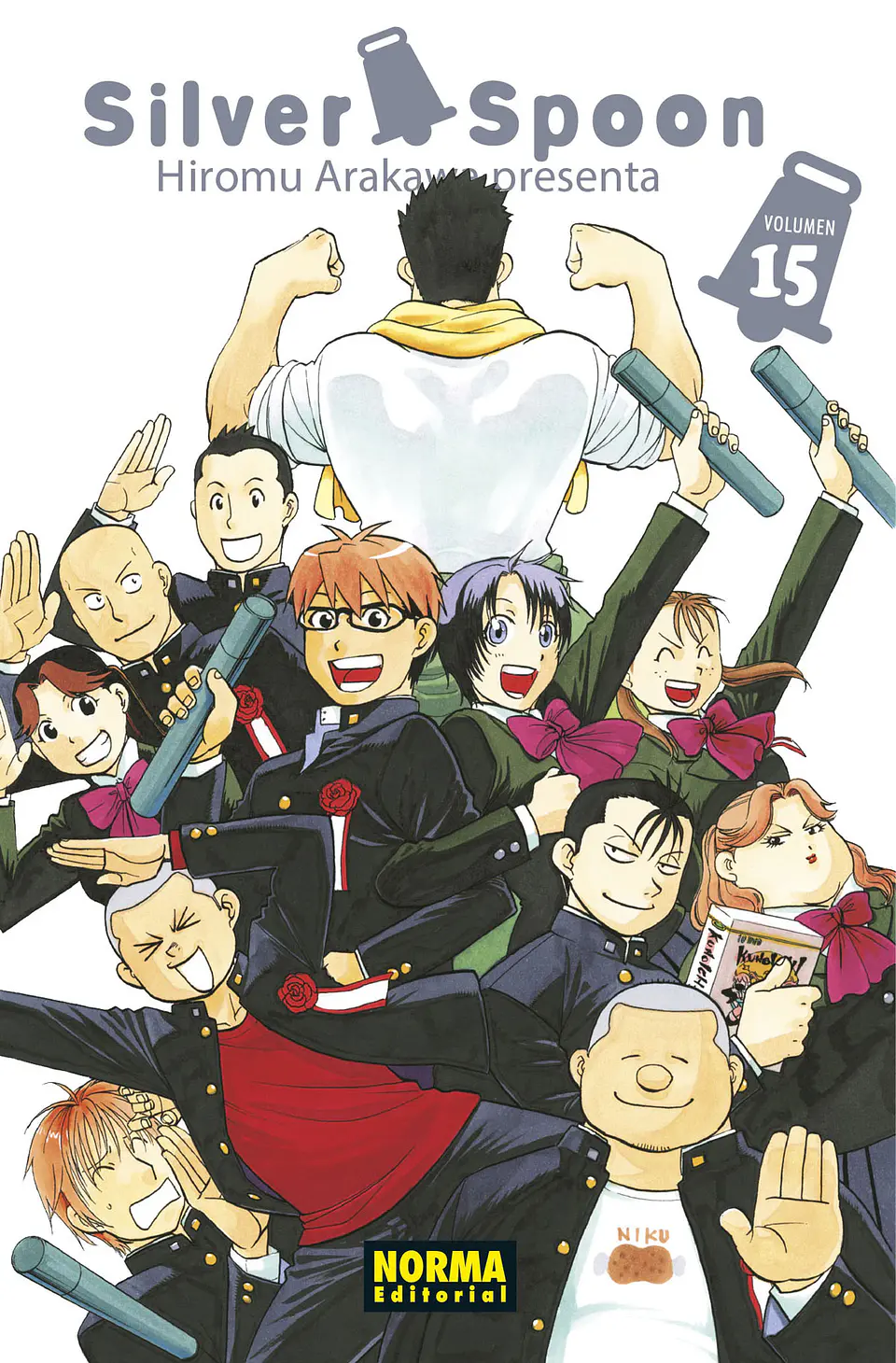 SILVER SPOON 15 1
