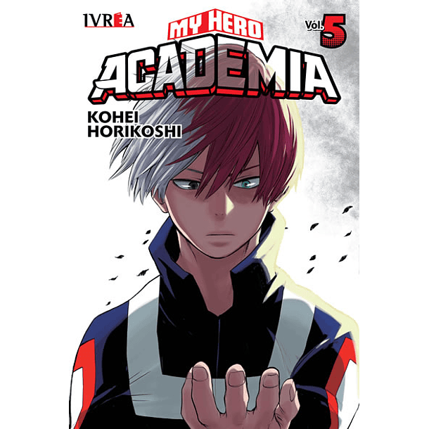 MY HERO ACADEMIA 05