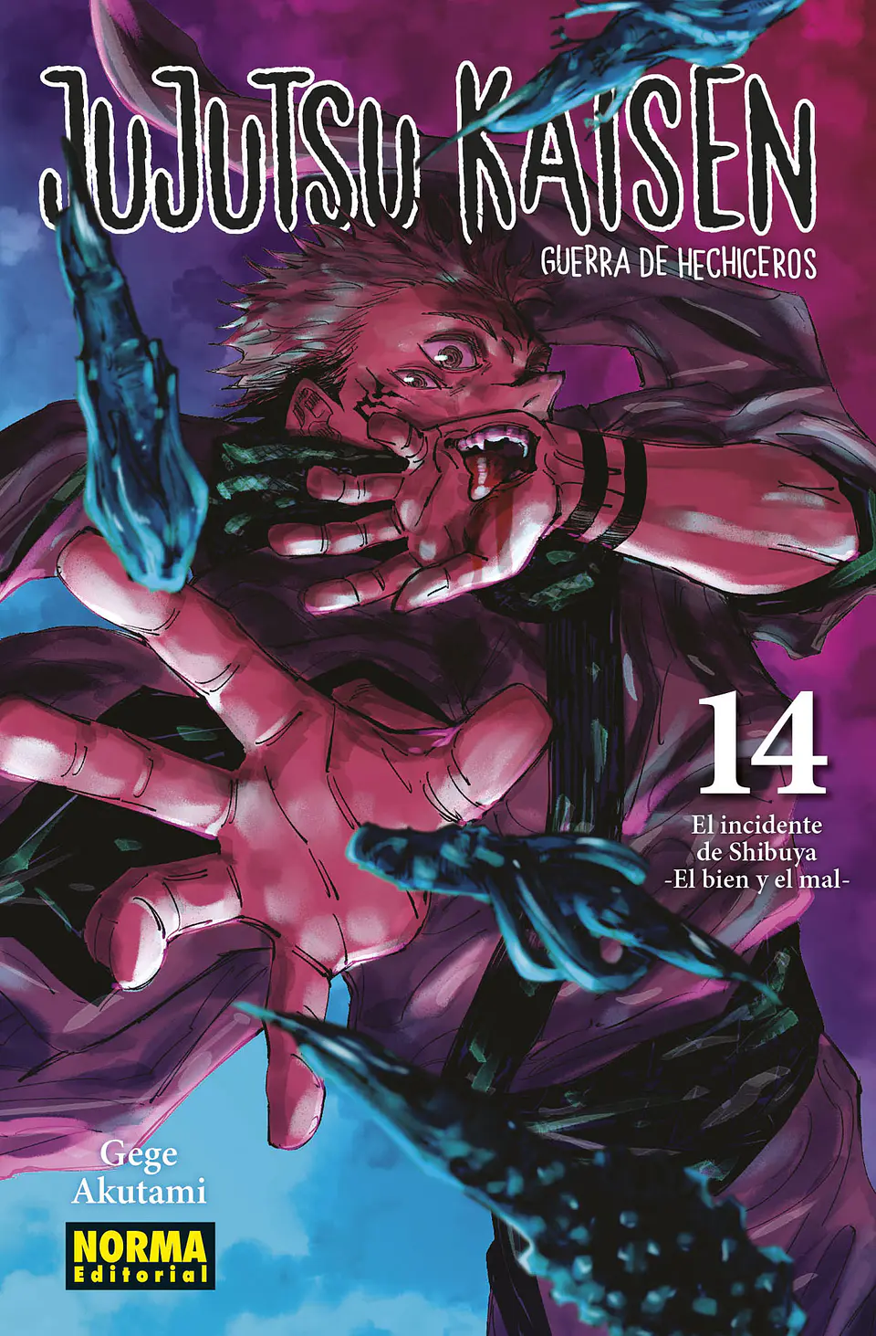 JUJUTSU KAISEN 14 1