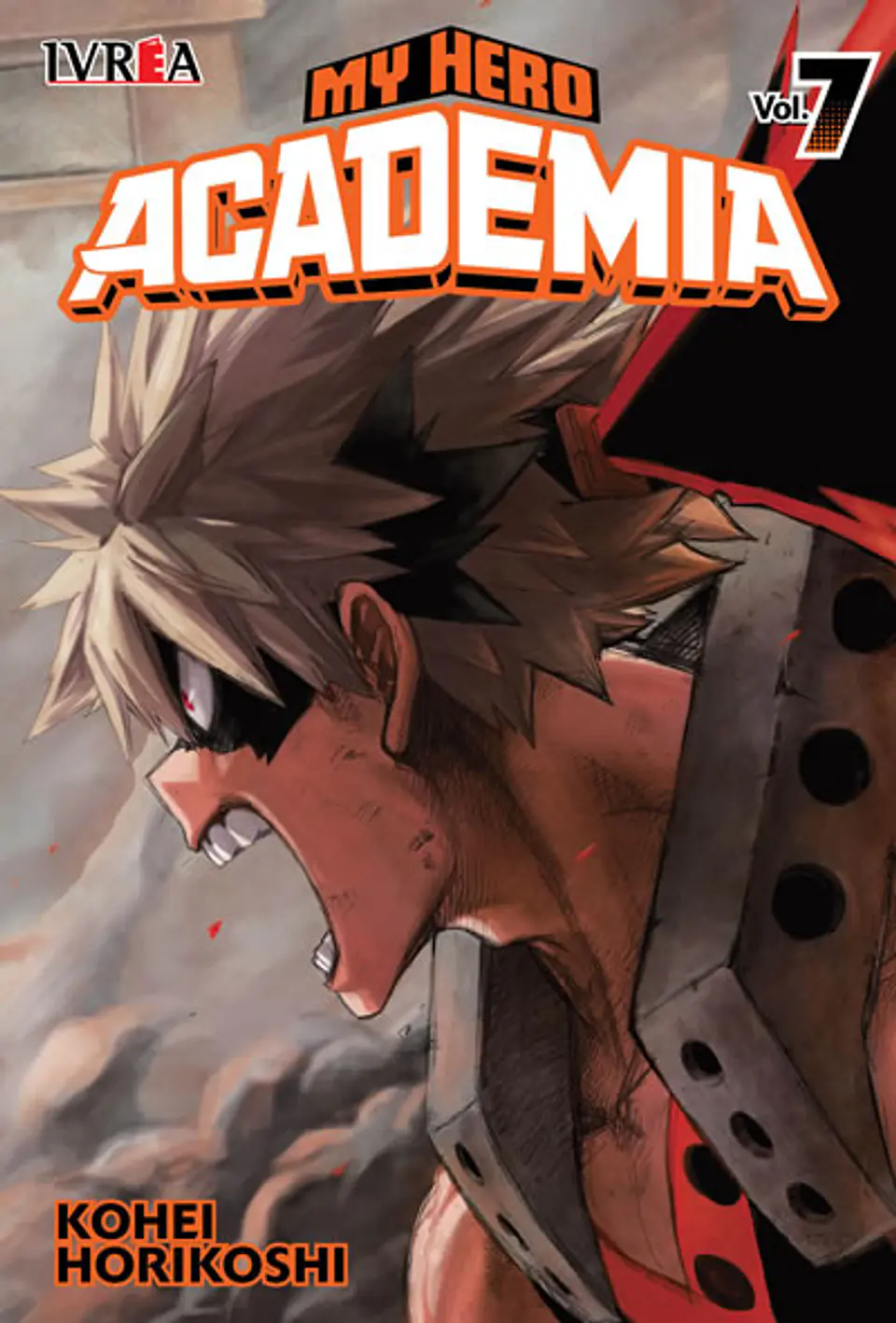 MY HERO ACADEMIA 07 1