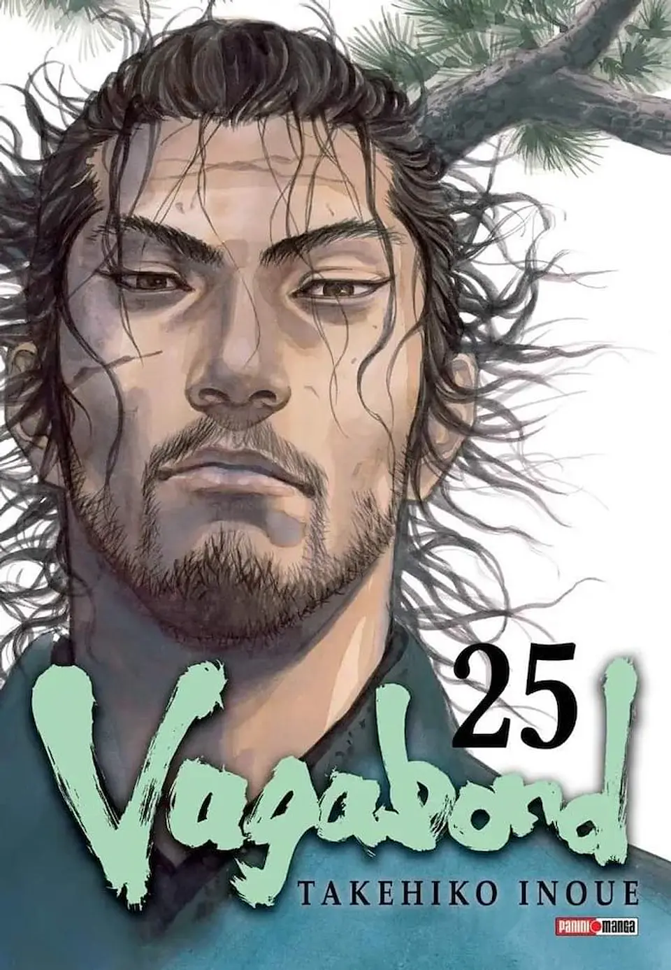 VAGABOND 25 1