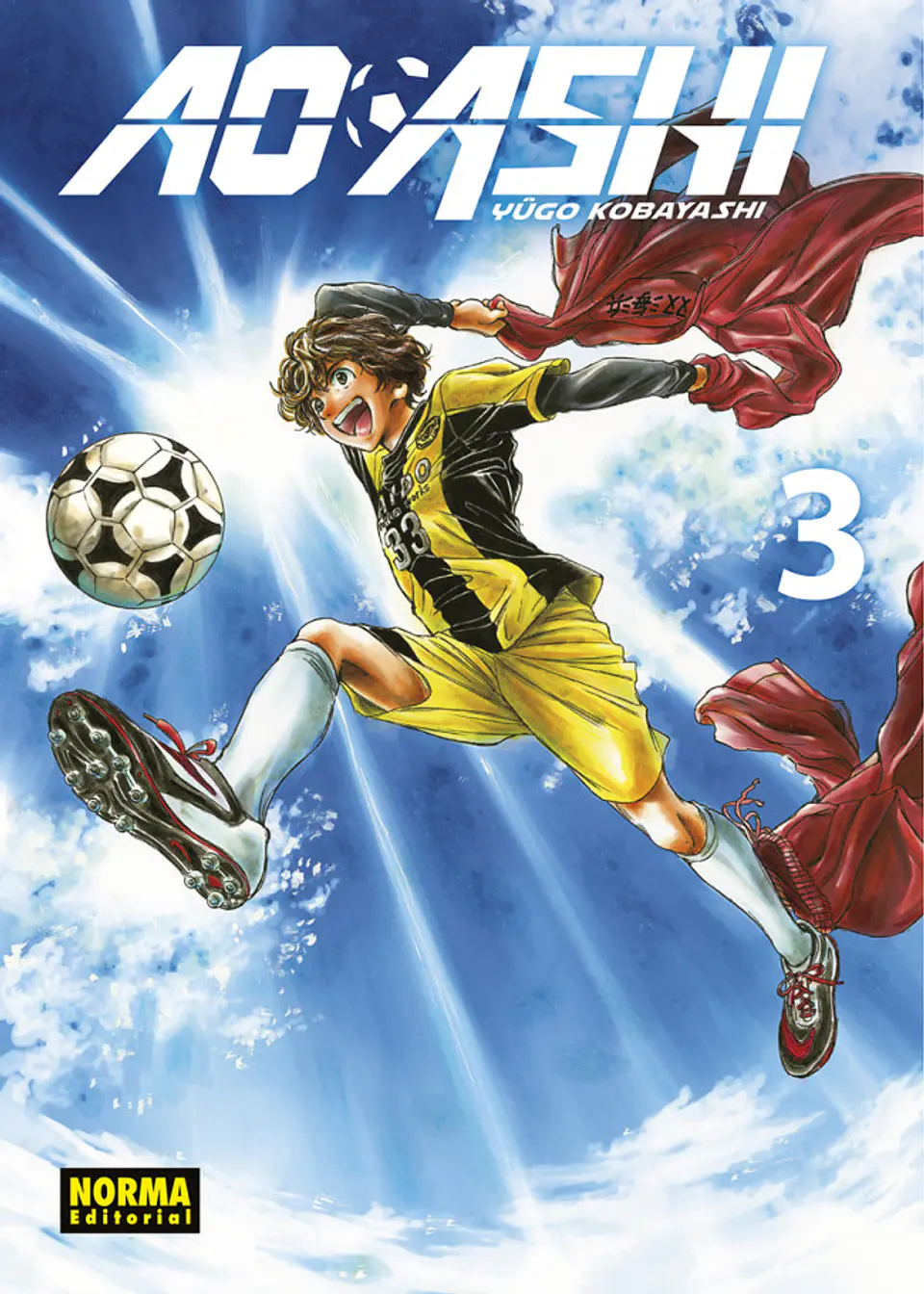 AO ASHI 03 1