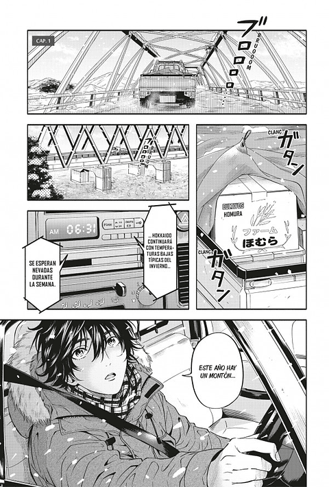 EL HADA DE LAS NIEVES