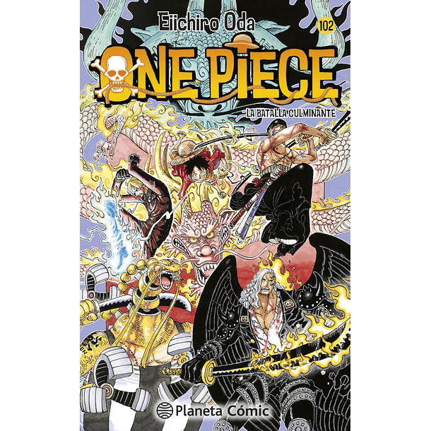 ONE PIECE 102