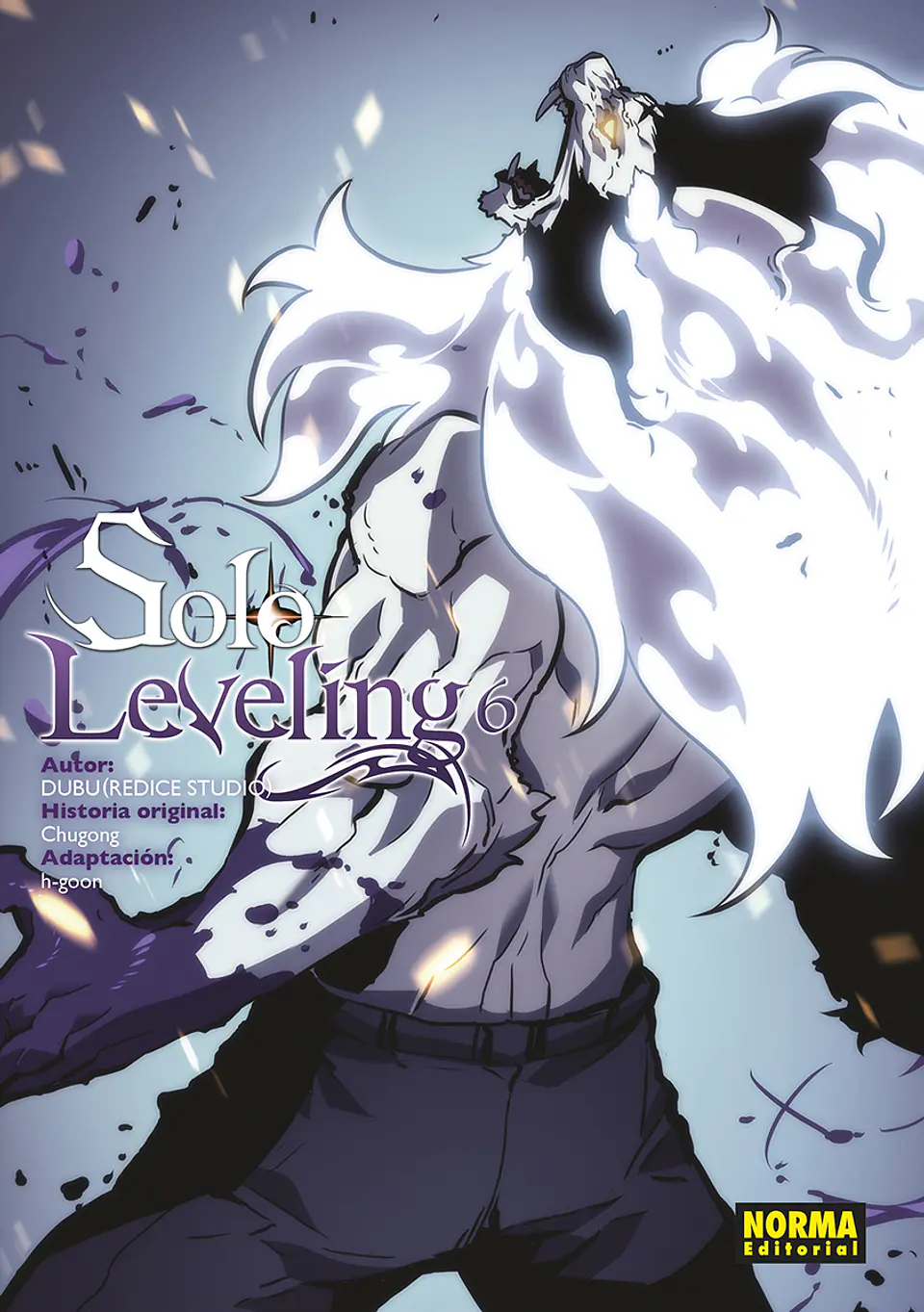 SOLO LEVELING 06 1