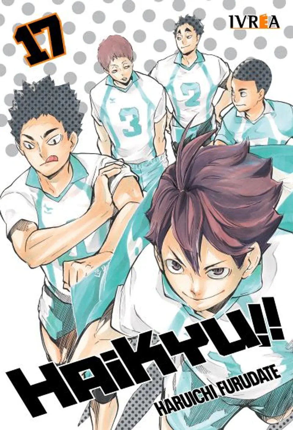HAIKYU!! 17 1