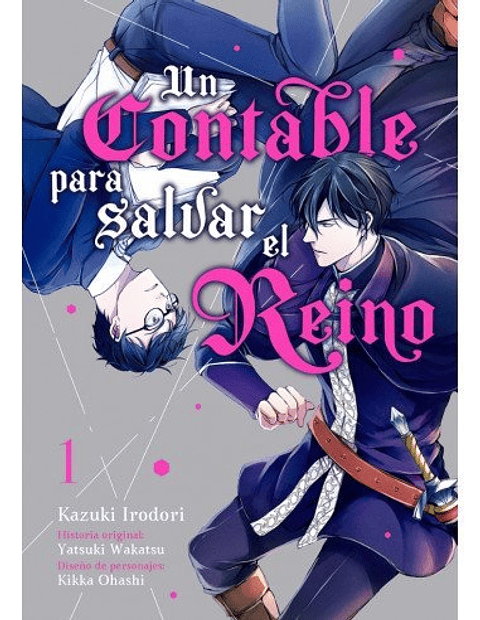 UN CONTABLE PARA SALVAR EL REINO VOL 1