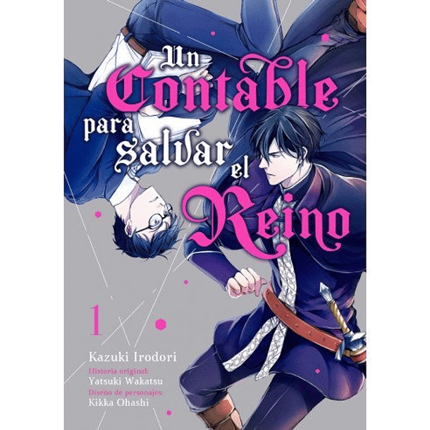 UN CONTABLE PARA SALVAR EL REINO VOL 1