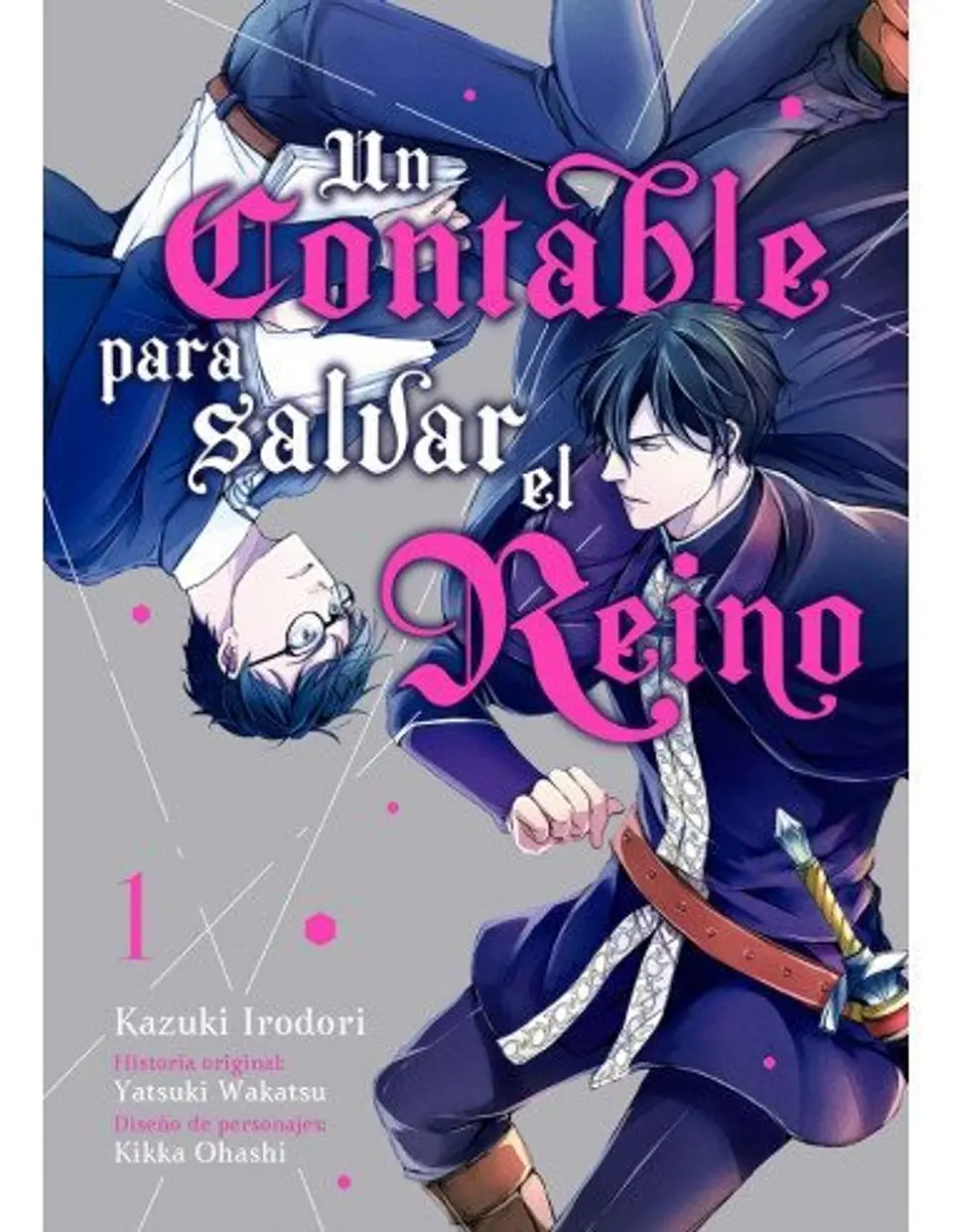 UN CONTABLE PARA SALVAR EL REINO VOL 1 1