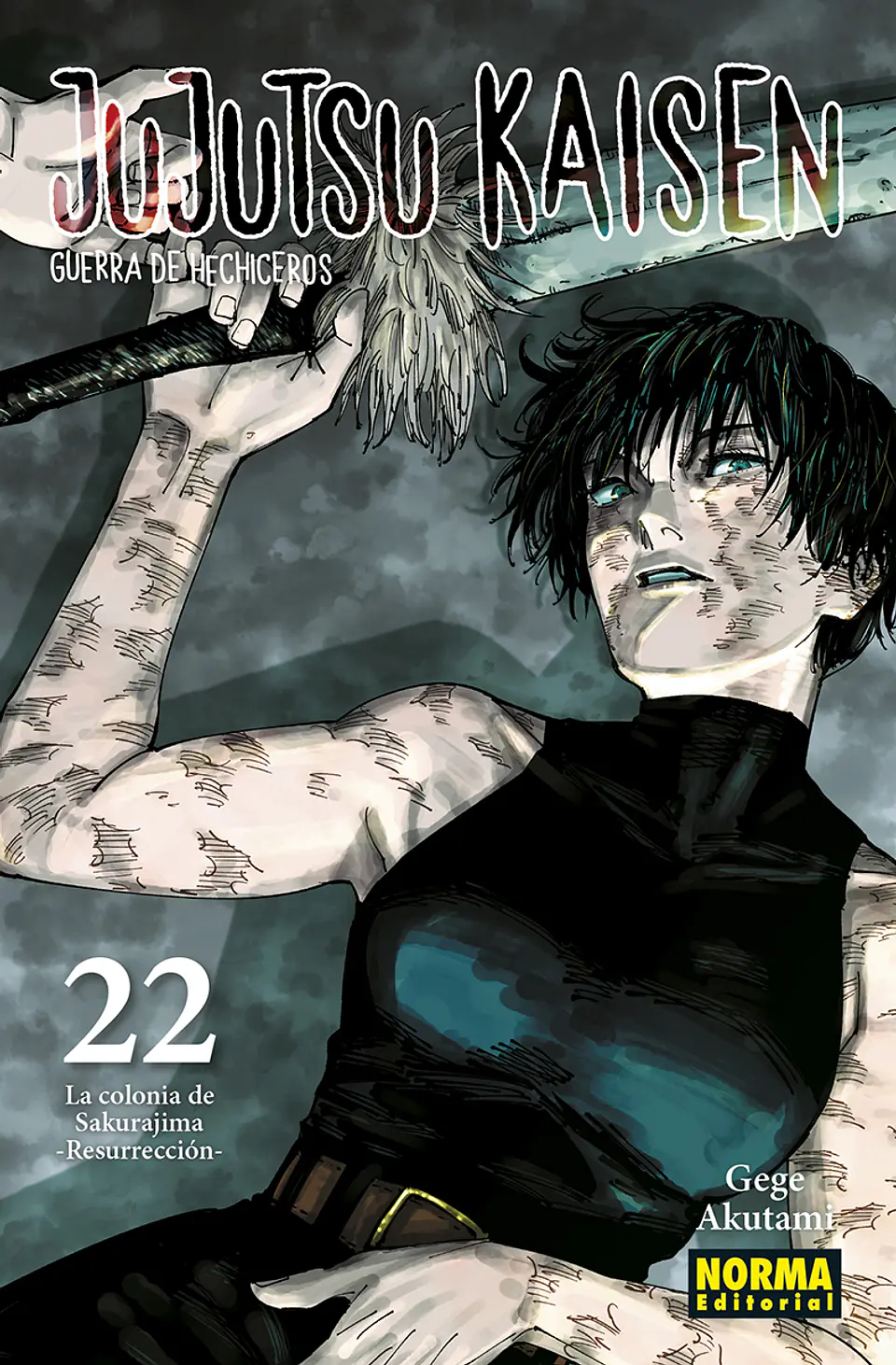 JUJUTSU KAISEN 22 1