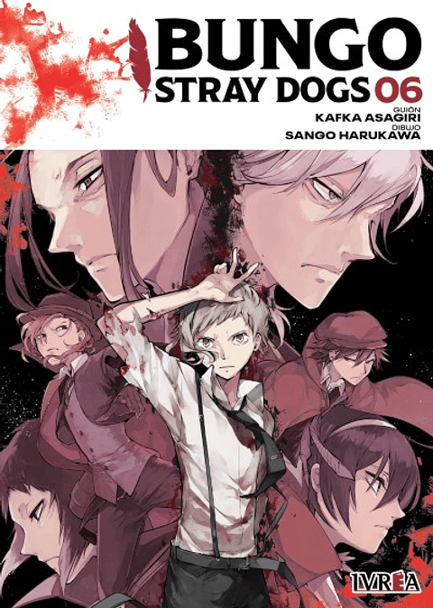 BUNGO STRAY DOGS 06 (TOMO DOBLE)