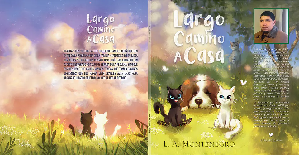LARGO CAMINO A CASA 2
