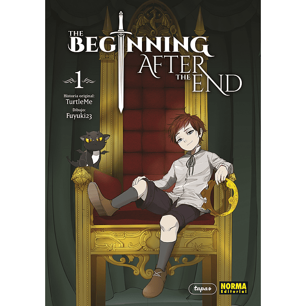 THE BEGINNING AFTER THE END 01