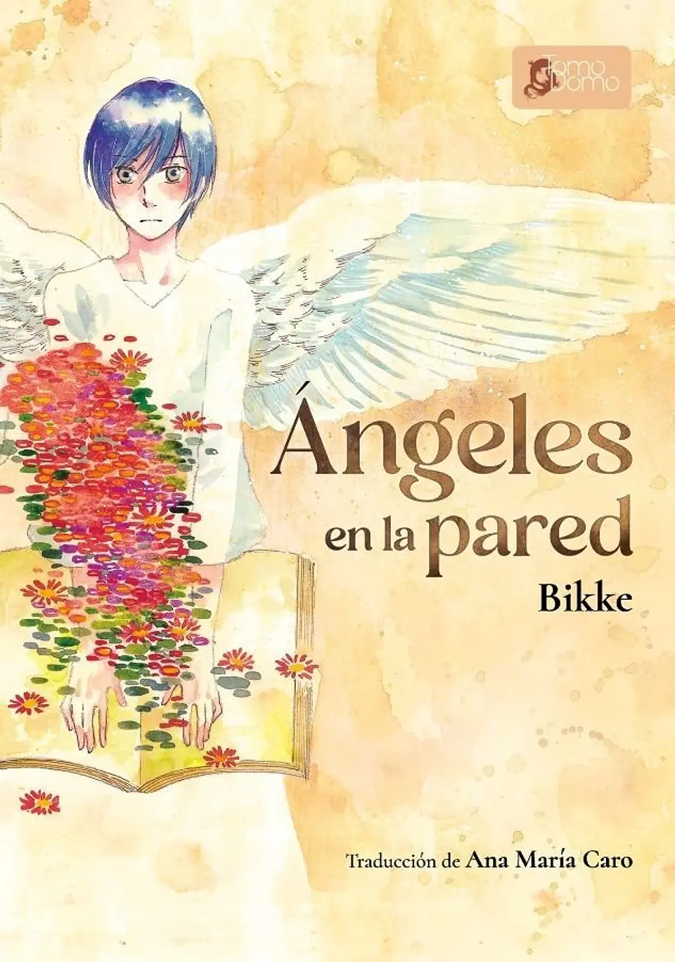 ANGELES EN LA PARED 1
