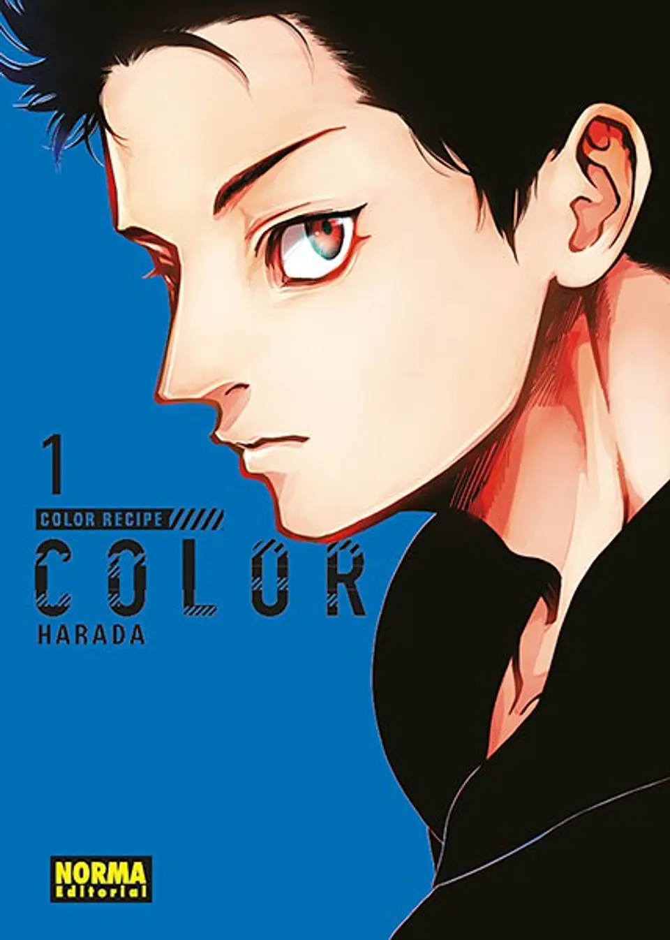 COLOR RECIPE 1 1