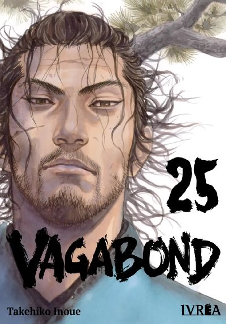VAGABOND 25 1