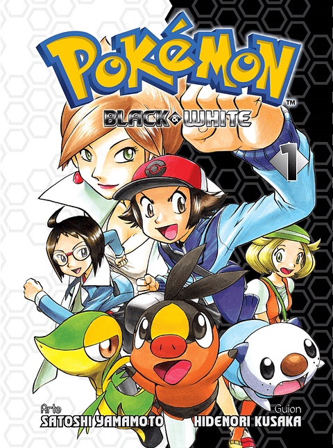 POKEMON BLACK & WHITE 01