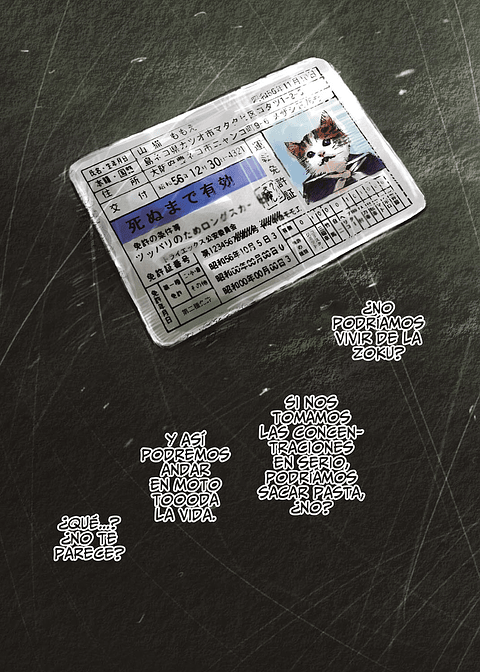 DETONATION ISLAND 01