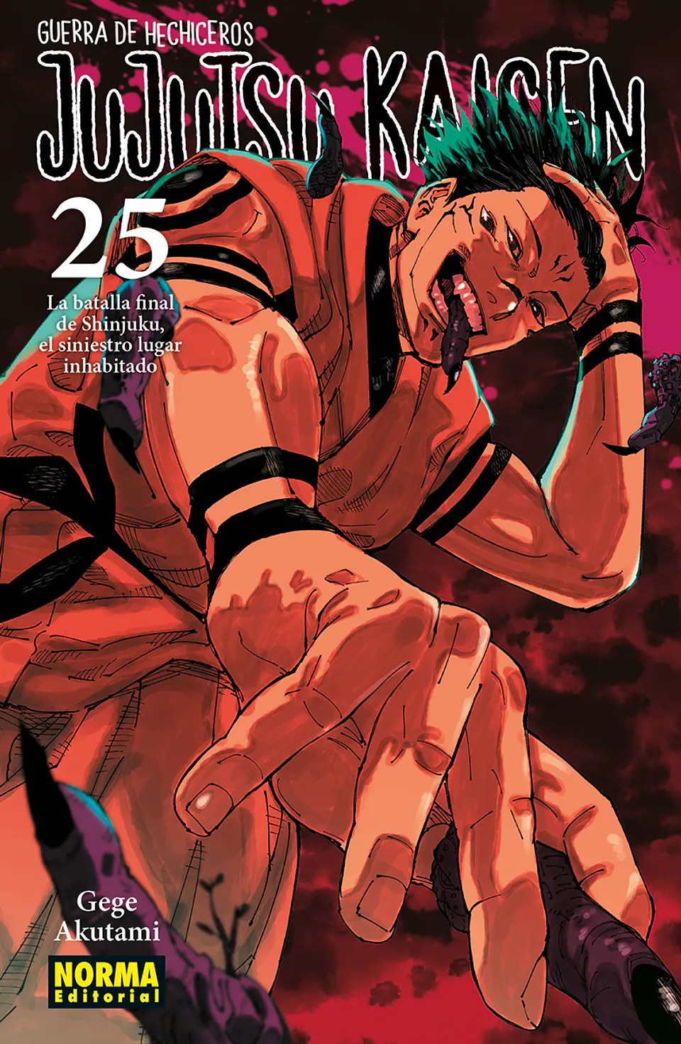 JUJUTSU KAISEN 25 1