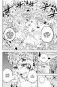 BLACK CLOVER 36 EDICION ESPECIAL - Miniatura 3