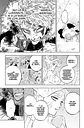 BLACK CLOVER 36 EDICION ESPECIAL - Miniatura 4