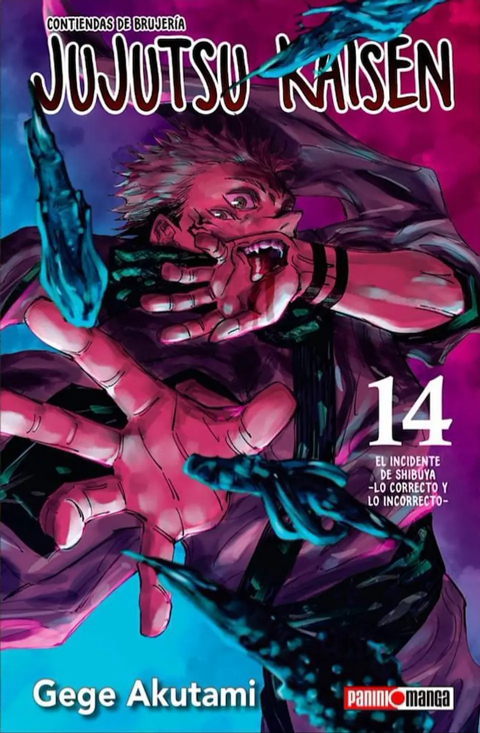 JUJUTSU KAISEN 14 1