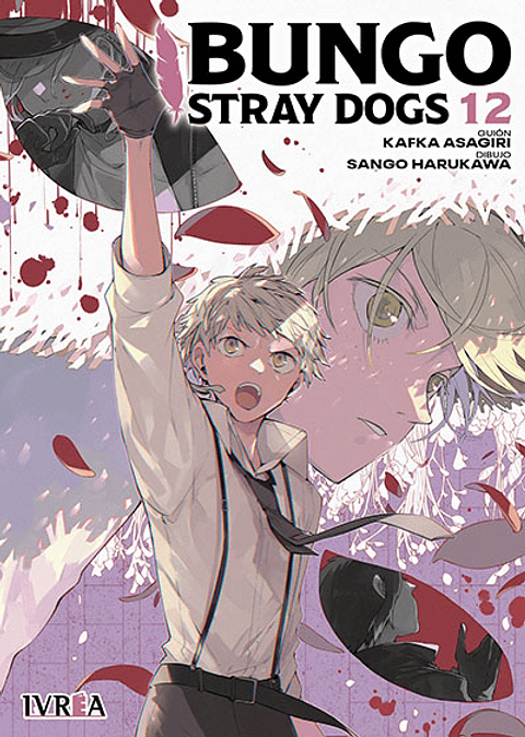 BUNGO STRAY DOGS 12 (TOMO DOBLE)