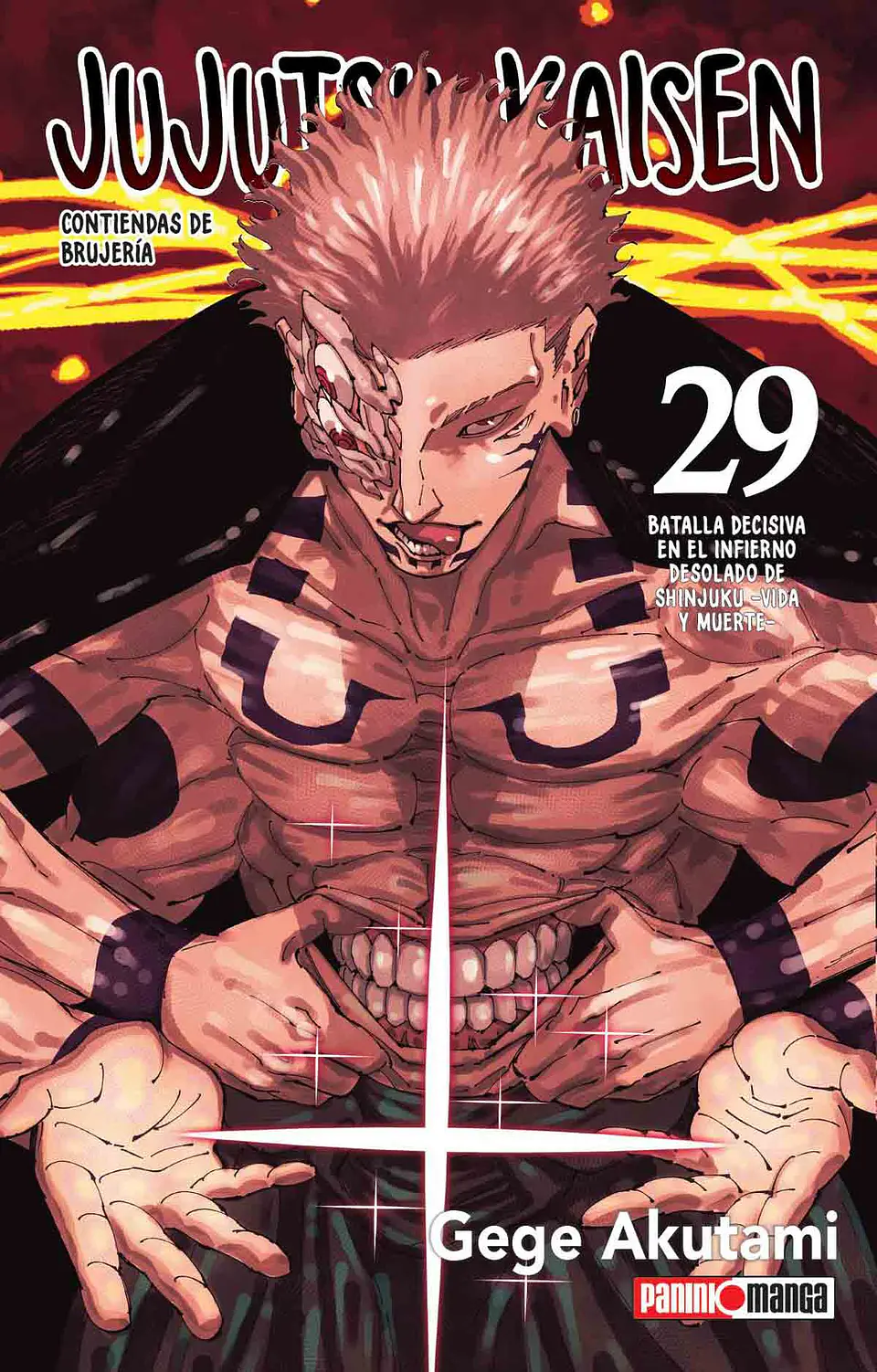 JUJUTSU KAISEN 29 1