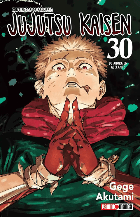 JUJUTSU KAISEN 30