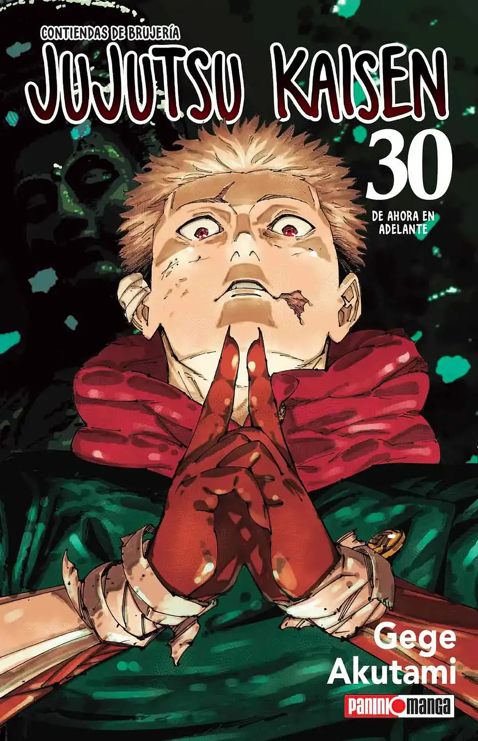 JUJUTSU KAISEN 30 1