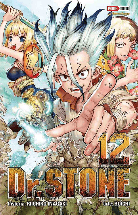 DR STONE 12